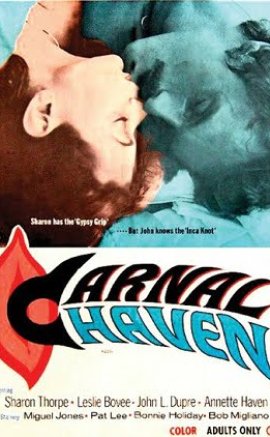 Carnal Haven  erotik film izle